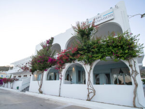 Hotel in Andros